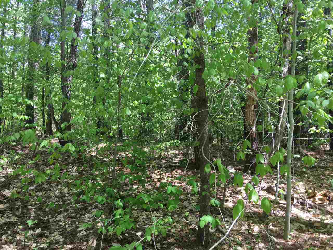 Lot 8 Wheelerville Road Rutland, VT 05701 - Photo 4 of 6 Gallery Image 4