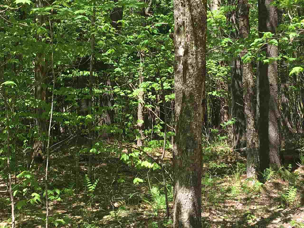 Lot 8 Wheelerville Road Rutland, VT 05701 - Photo 6 of 6 Gallery Image 6