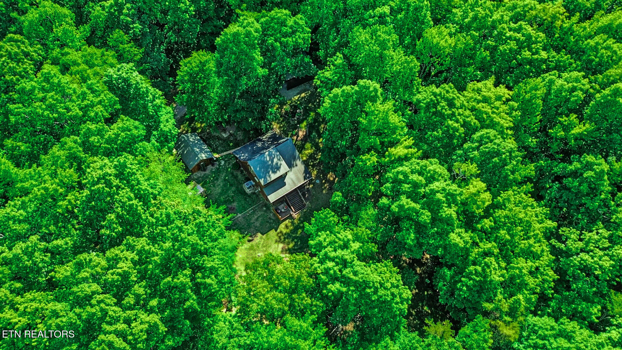 737 Edd Linder Road Jamestown, TN 38556 - Photo 51 of 57 dji_0860-dji_0862