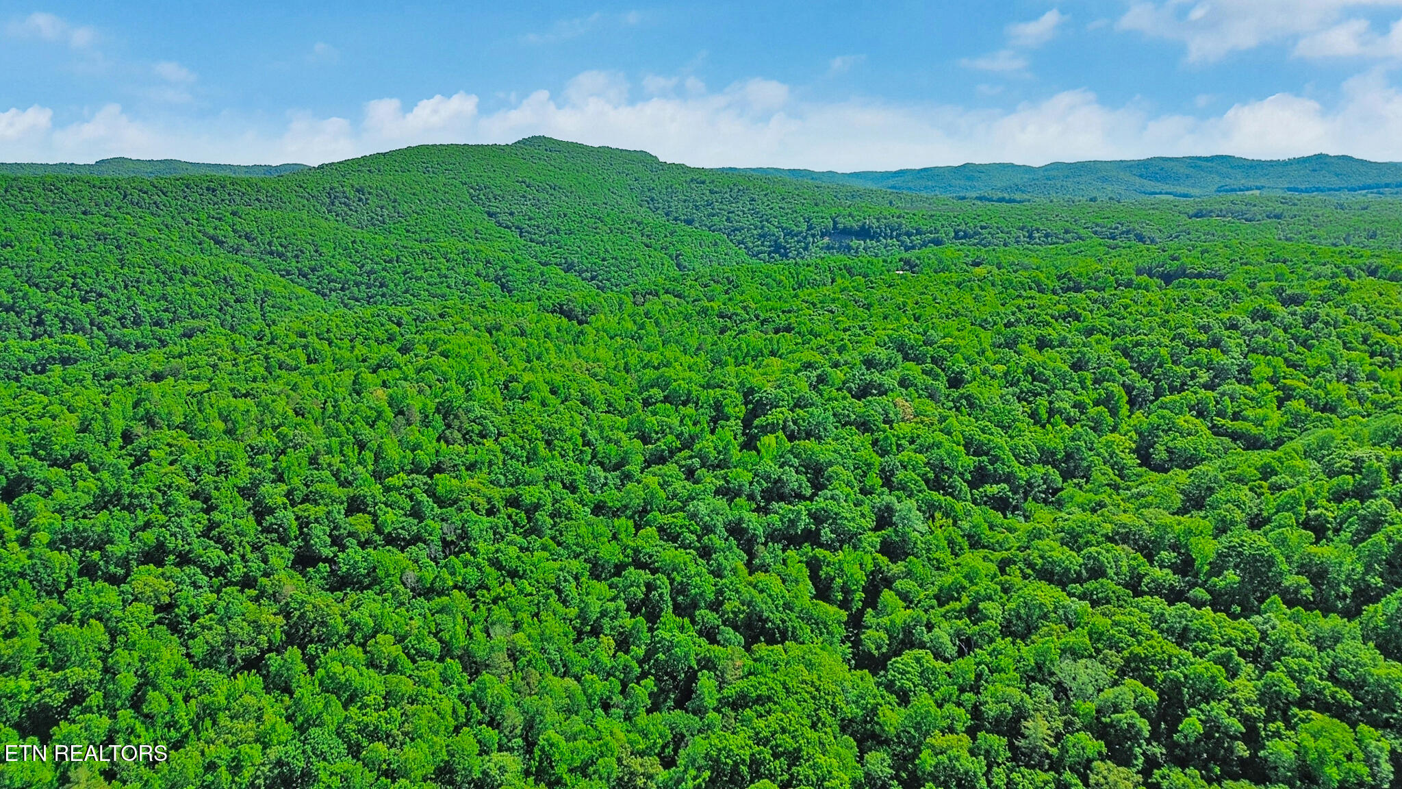 737 Edd Linder Road Jamestown, TN 38556 - Photo 53 of 57 dji_0857-dji_0859