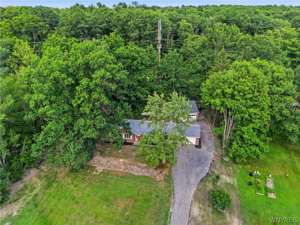 8117 North State Road Hamburg, NY 14075 - Photo 47 of 50