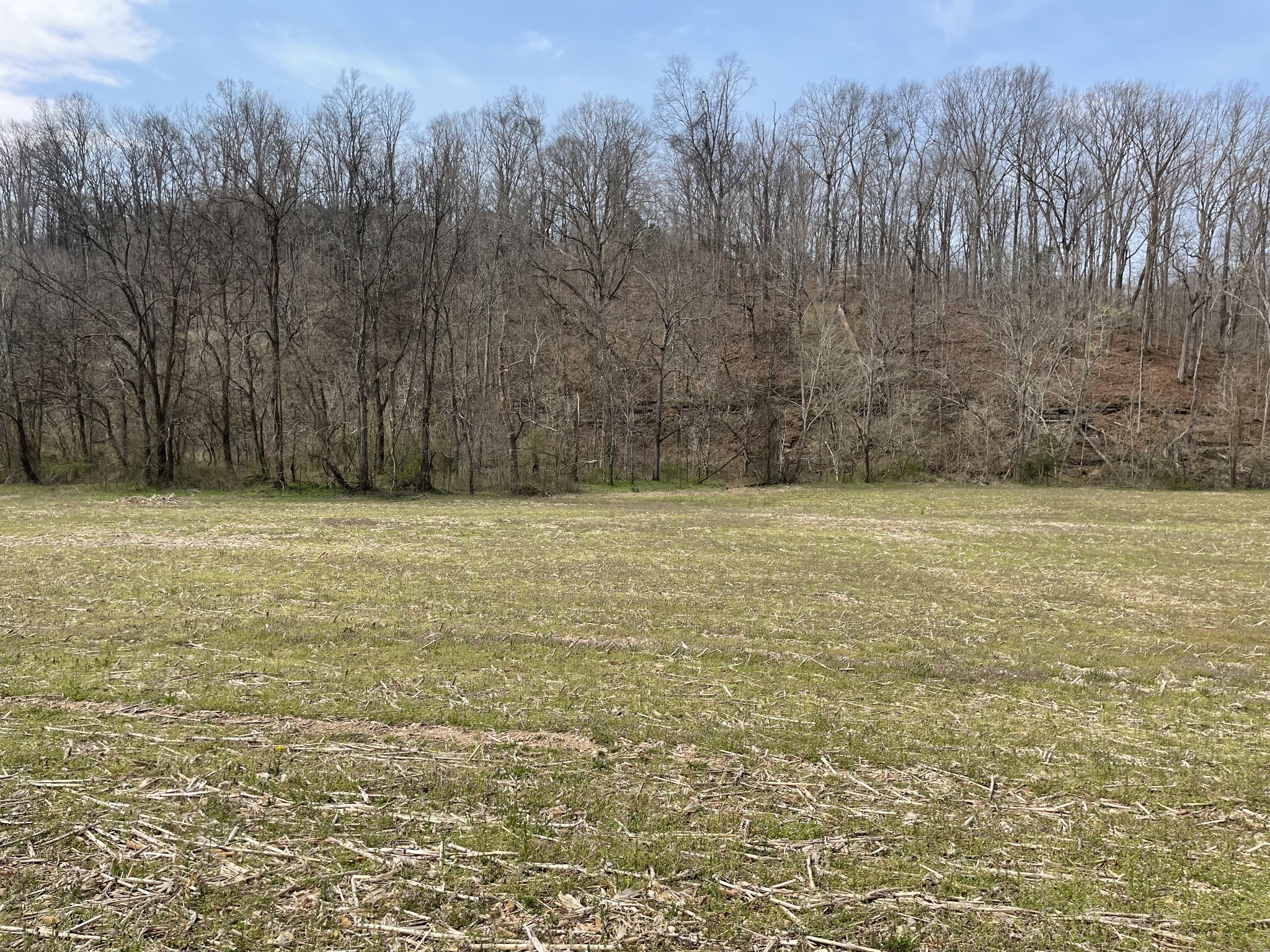 1511 Dutch Creek Road Westmoreland, TN 37186 - Photo 1 of 3 a view of a yard with trees in the background