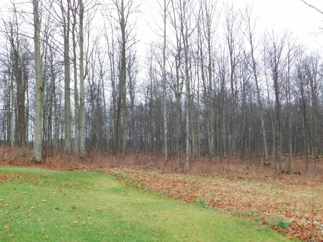 5527 North 5 Road Mesick, MI 49668 - Photo 7 of 23 1809706-6.JPG