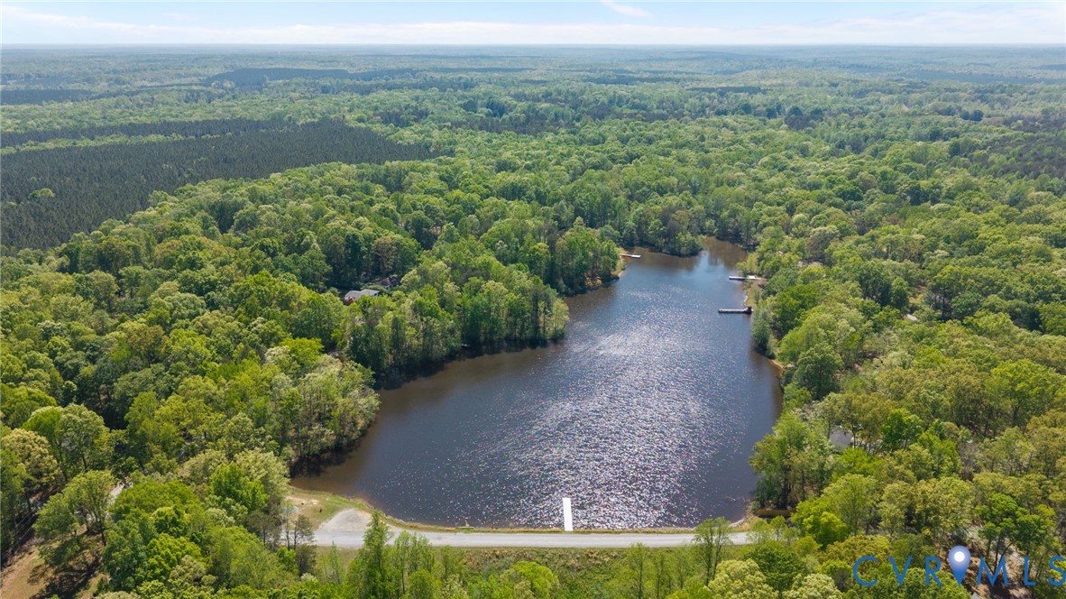 67 Deer Drive Gum Spring, VA 23065 - Photo 24 of 25 Aerial View of Lake