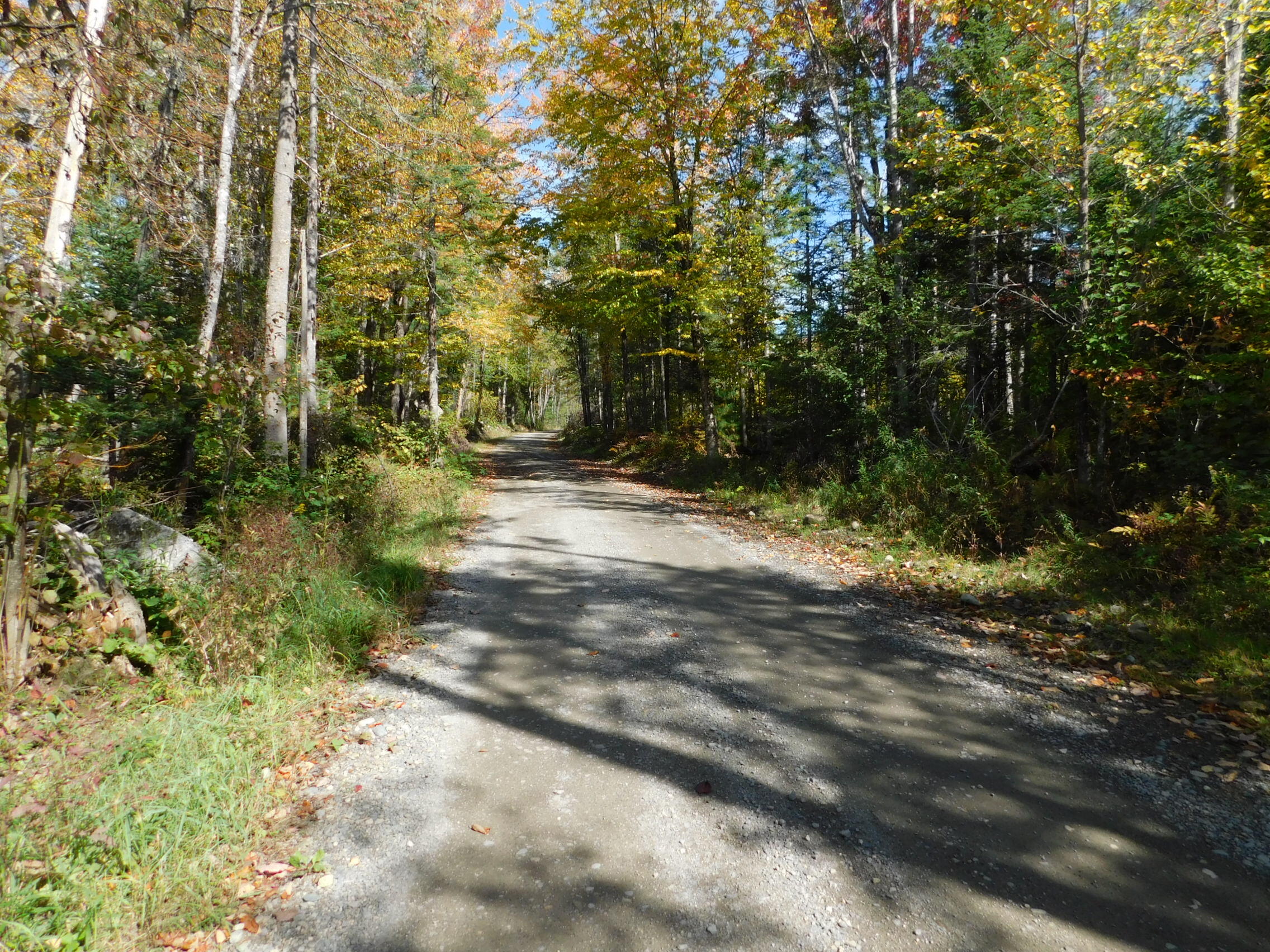 0 Steam Mill Road, Unit LOT 1 Cornville, ME 04976 - Photo 10 of 11 DSCN1524