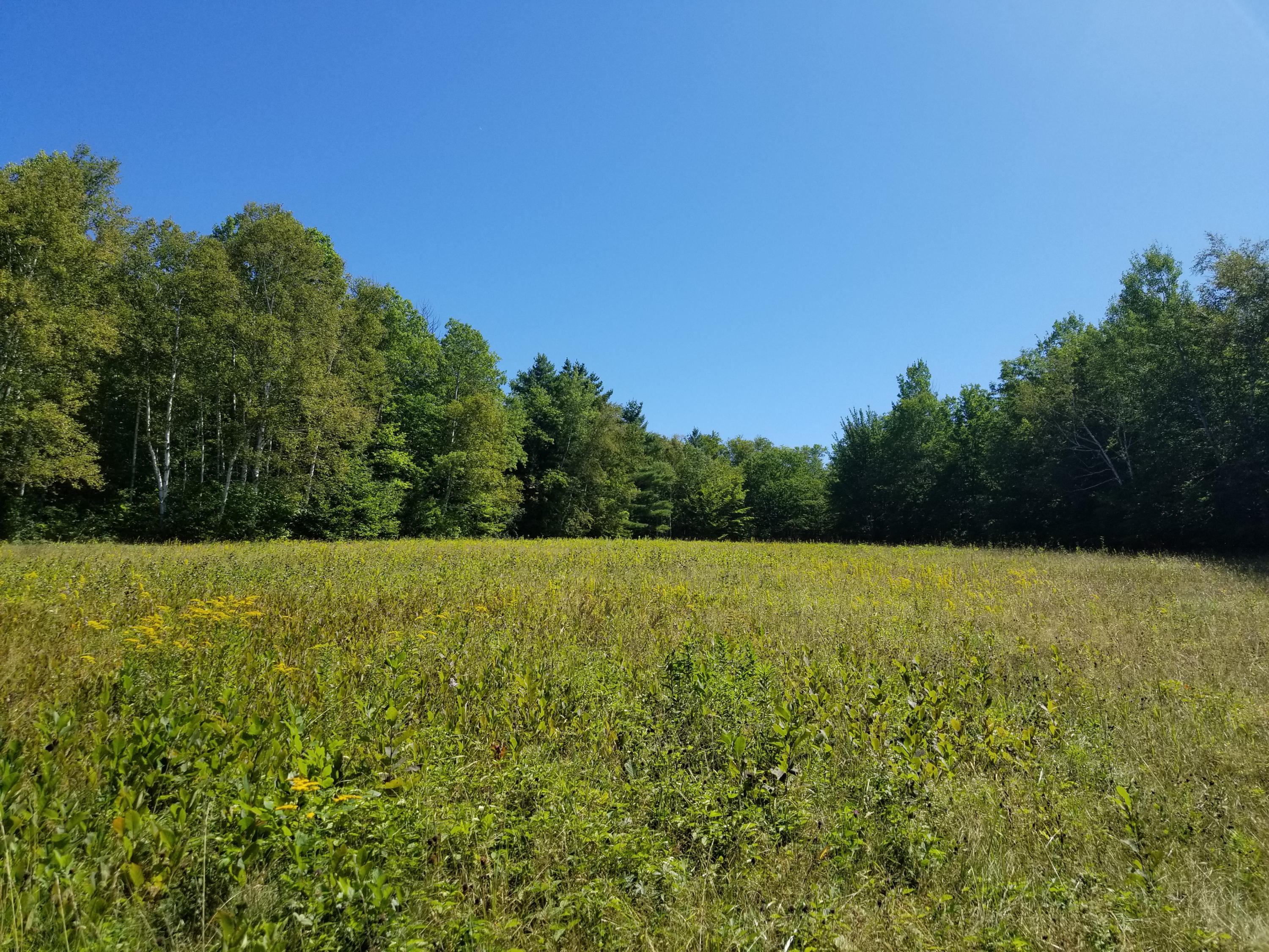 0 Weld Road Phillips, ME 04966 - Photo 7 of 47 20190905_122711