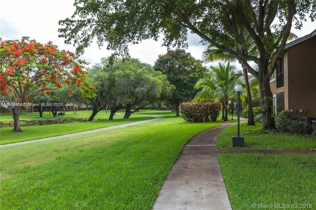 a view of a park with large trees