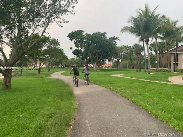 a view of a park with tree s