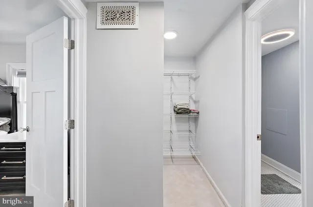 a view of a backyard with large trees and plants