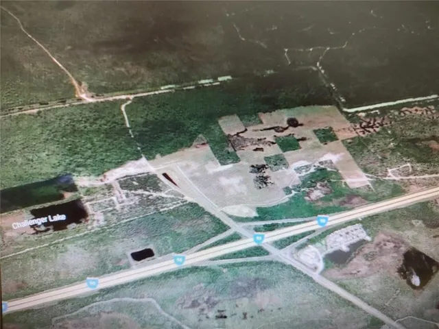 a view of a dry yard