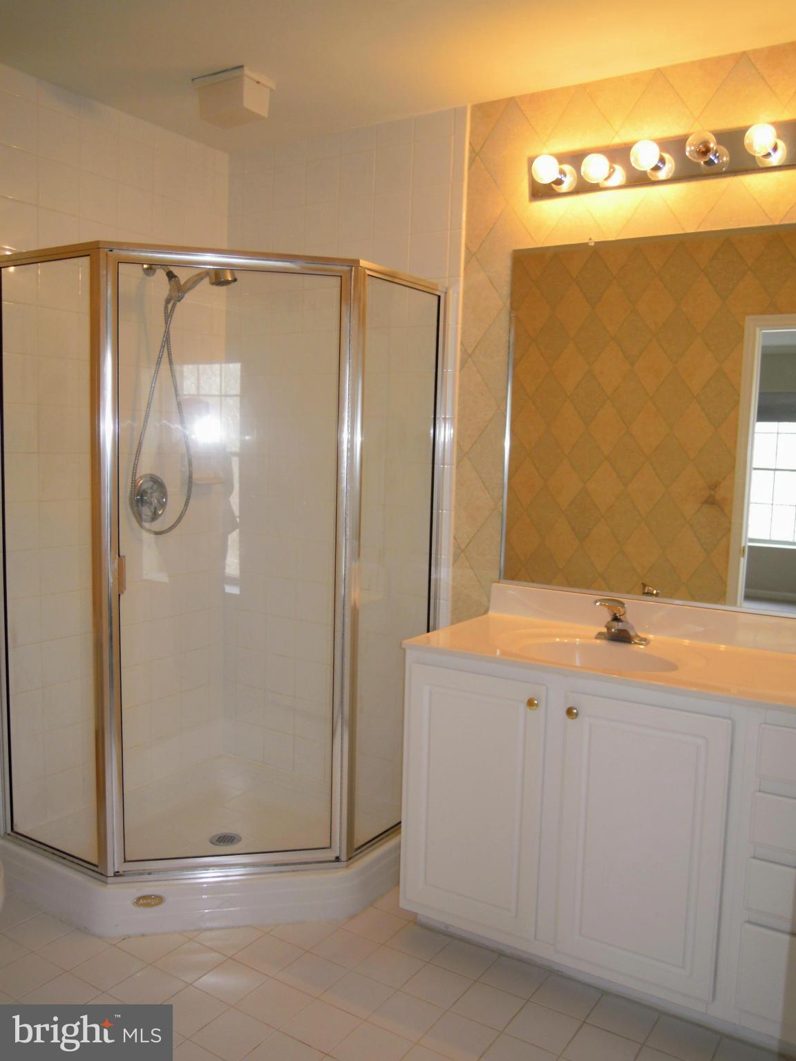 12000 Tralee Road, Unit 302 Lutherville-Timonium, MD 21093 - Photo 18 of 28 a bathroom with a shower and a sink