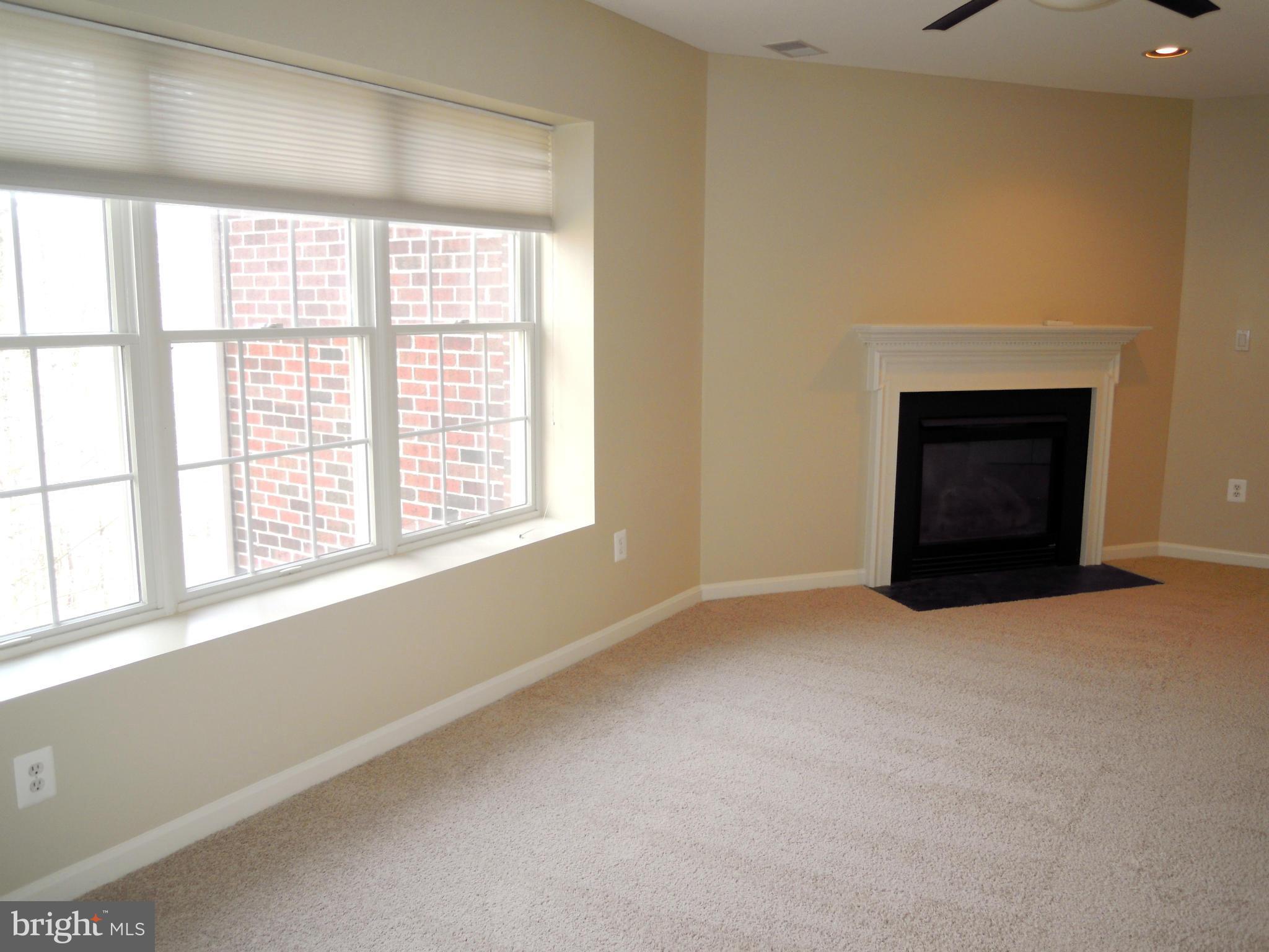 12000 Tralee Road, Unit 302 Lutherville-Timonium, MD 21093 - Photo 3 of 28 an empty room with a fireplace and windows