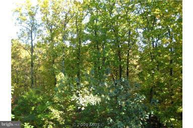 12000 Tralee Road, Unit 302 Lutherville-Timonium, MD 21093 - Photo 21 of 28 a view of a tree in a yard