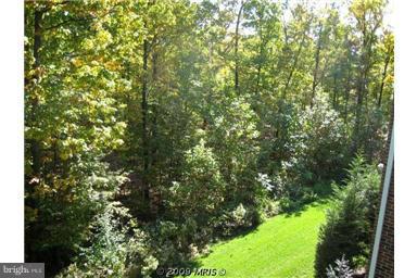 12000 Tralee Road, Unit 302 Lutherville-Timonium, MD 21093 - Photo 22 of 28 a view of a forest