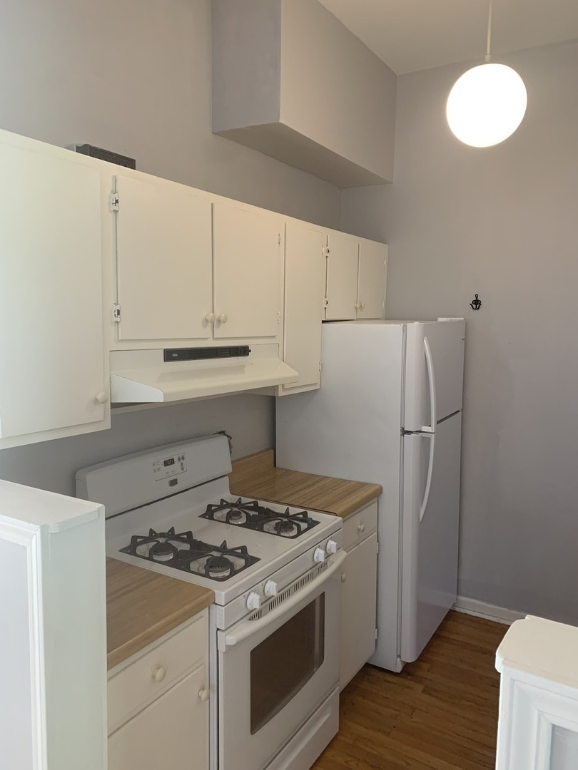 1448 West Polk Street, Unit 2F Chicago, IL 60607 - Photo 8 of 19