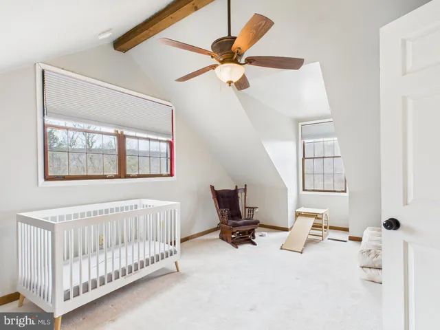 a view of a dry yard with trees