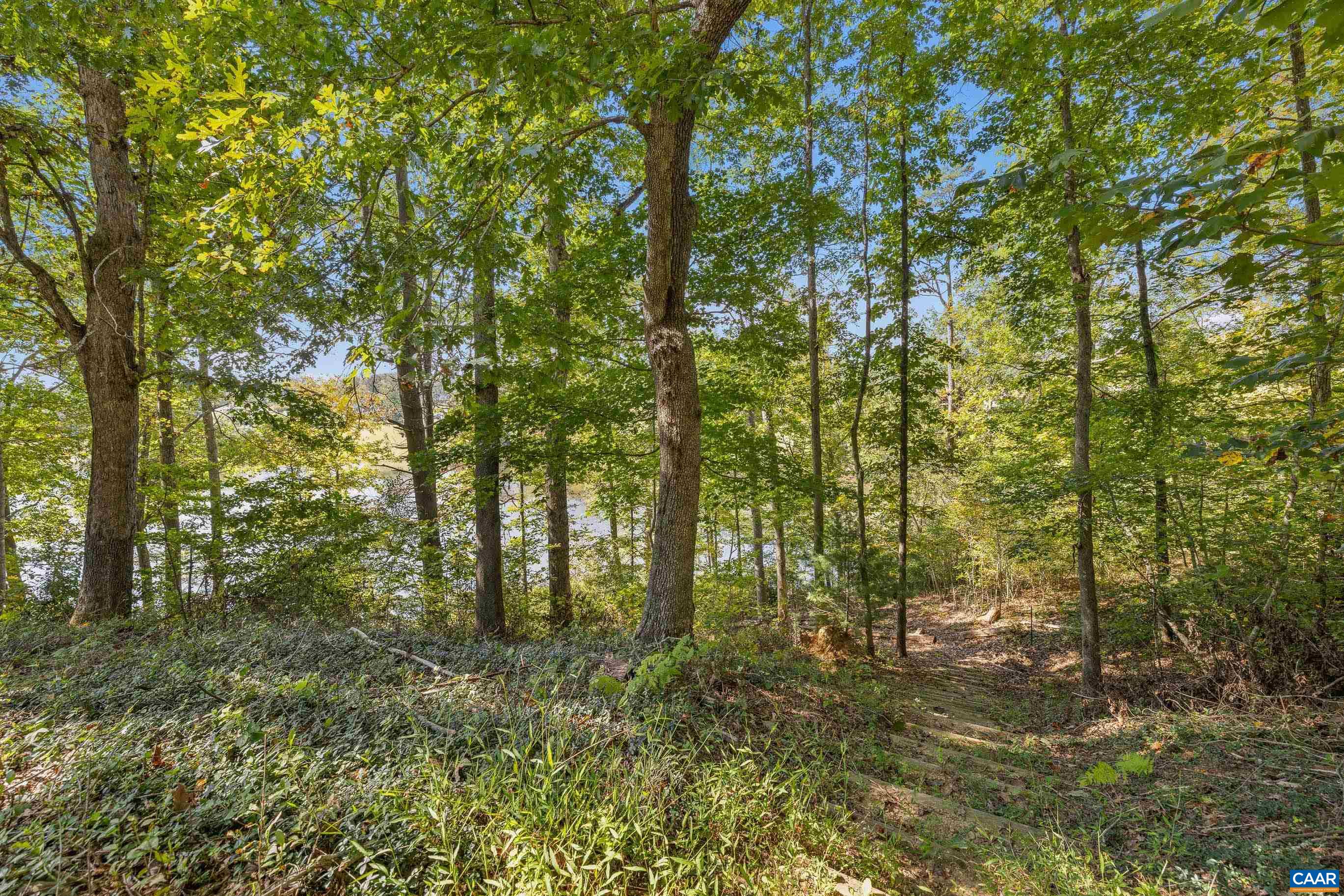 528 Jonquil Road Ruckersville, VA 22968 - Photo 18 of 66 a view of outdoor space and covered with trees