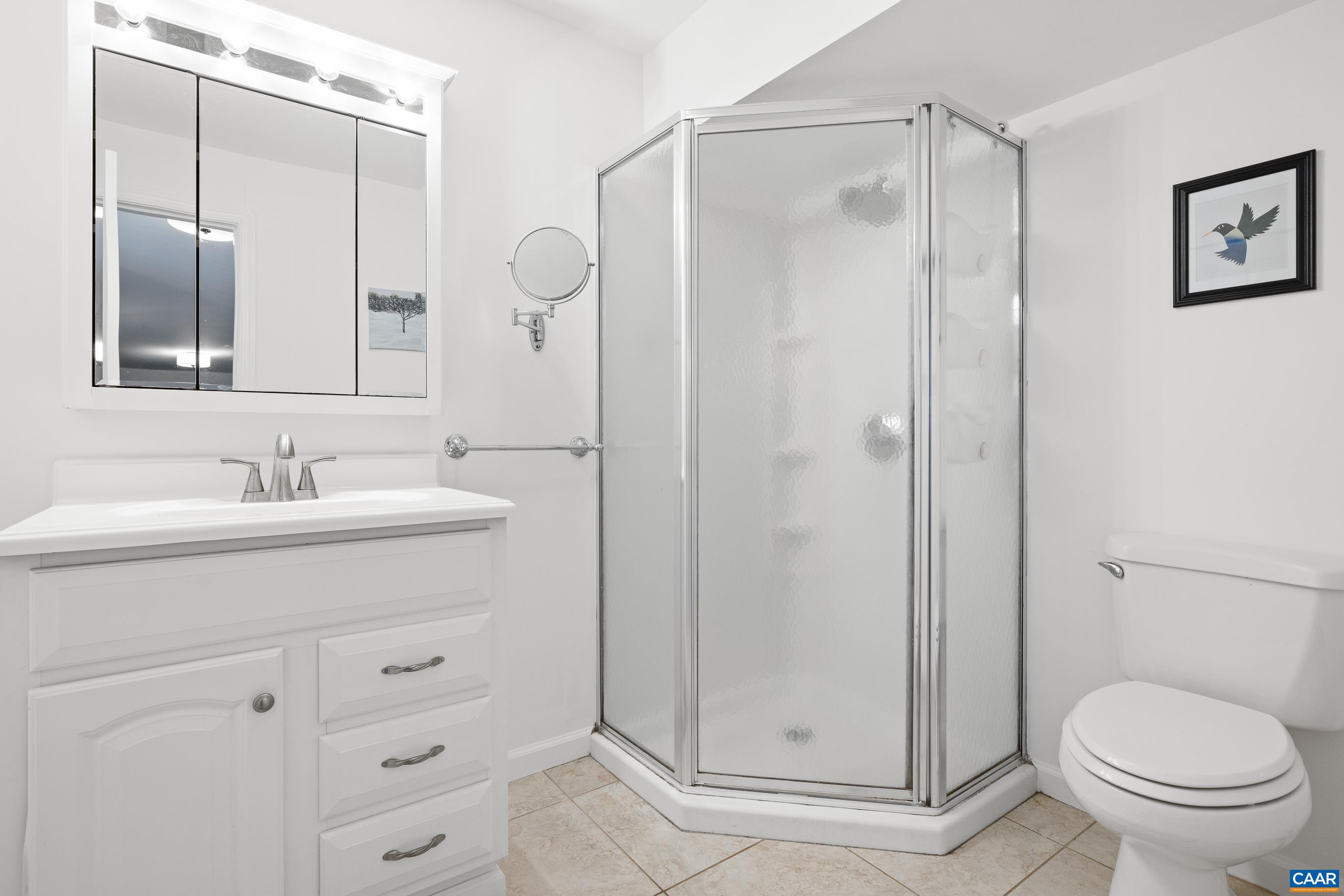 528 Jonquil Road Ruckersville, VA 22968 - Photo 54 of 66 a bathroom with a sink a toilet and shower