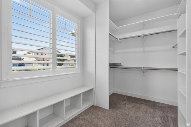 36 West Syracuse Road Vineyard, UT 84059 - Photo 31 of 56 Walk-in closet featuring white built-in shelving, hanging rods, and carpet flooring