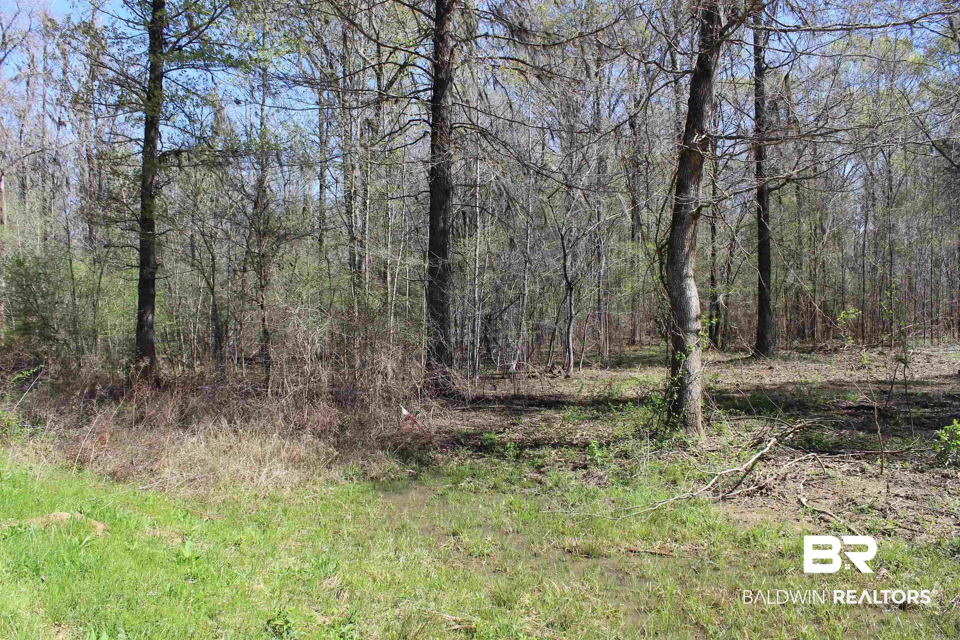 Heron Point Drive Lowndesboro, AL 36752 - Photo 2 of 2 View of undeveloped land