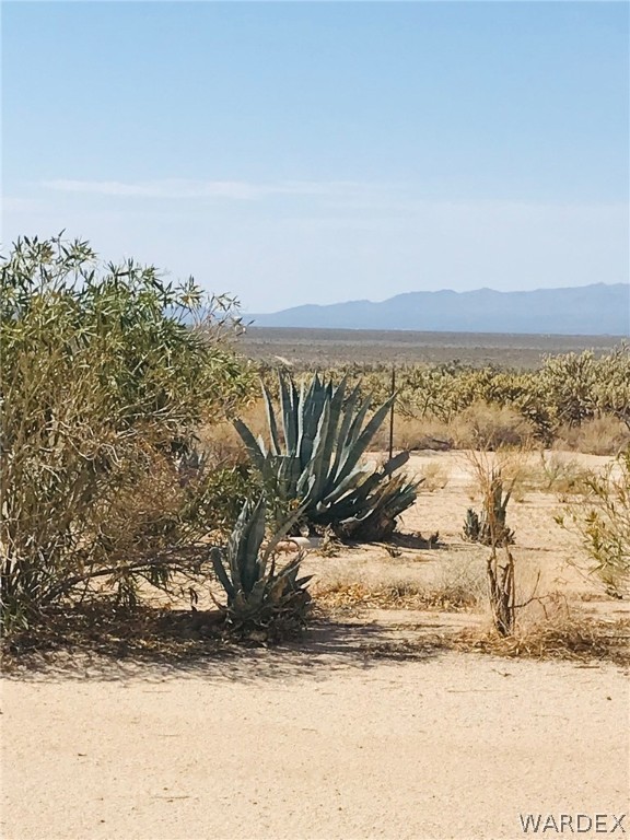 11754 Alan Road Yucca, AZ 86438 - Photo 7 of 19