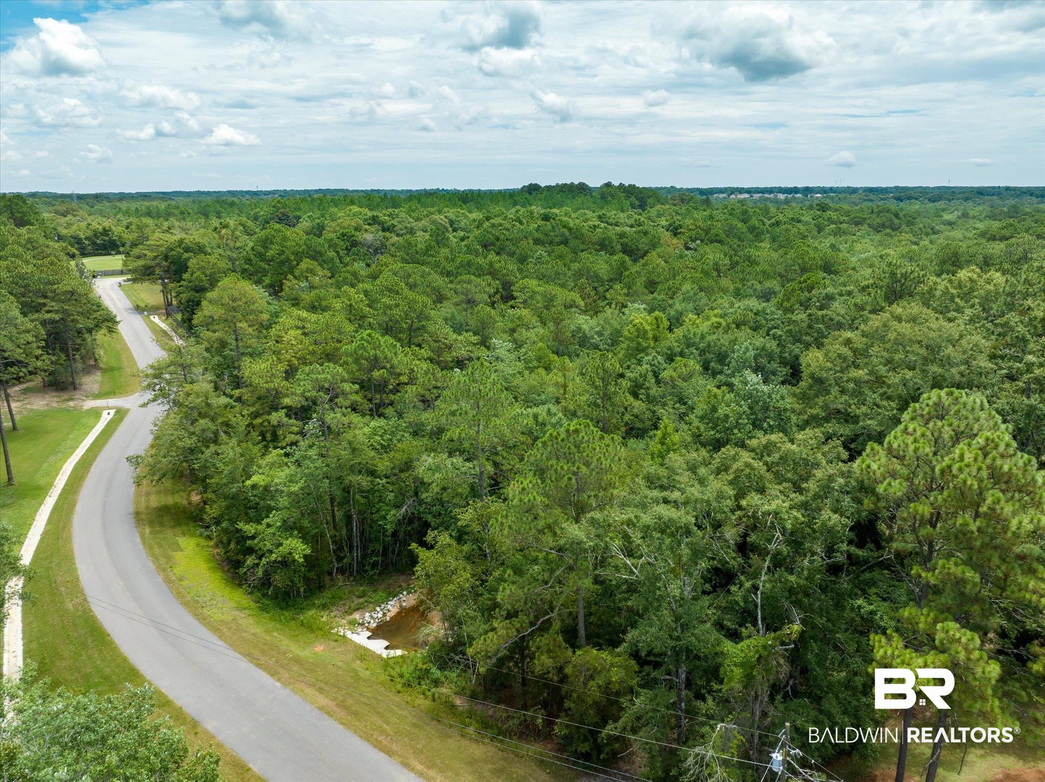 10061 A Sasser Lane Mobile, AL 36695 - Photo 10 of 11