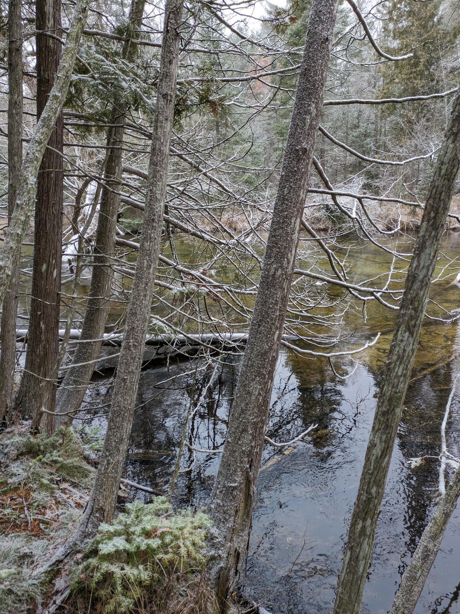 12642 Airport Road Atlanta, MI 49709 - Photo 73 of 105 Gallery Image 73