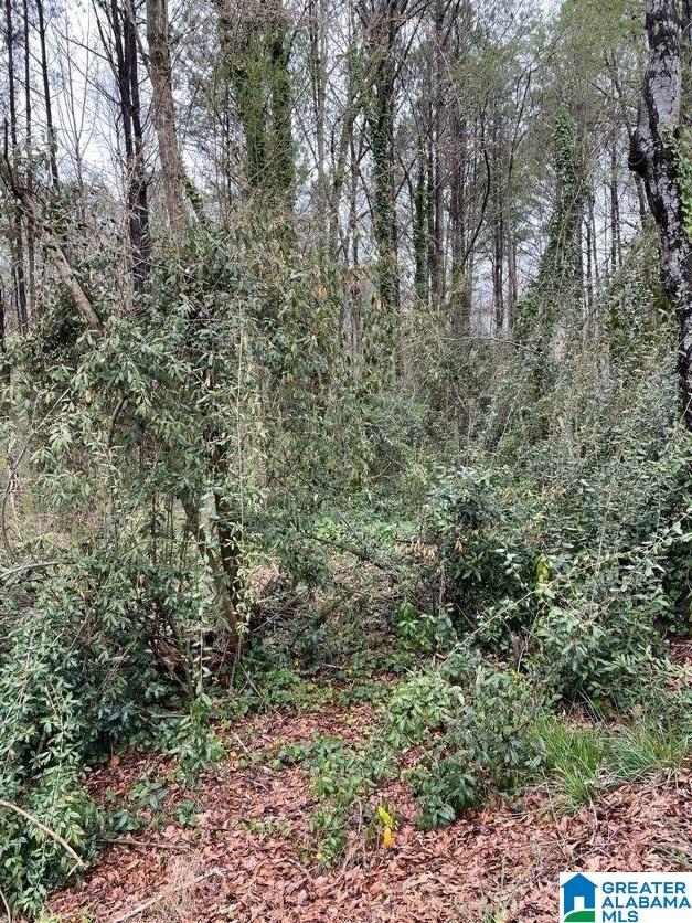 0 Osborne Street Heflin, AL 36264 - Photo 8 of 8