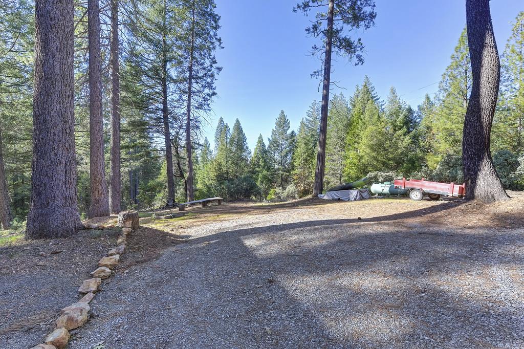5060 Chestnut Court Georgetown, CA 95634 - Photo 15 of 65 a outdoor space with trees