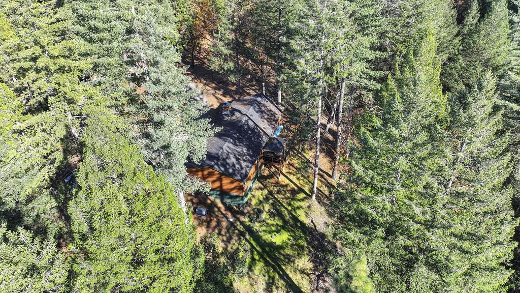 5060 Chestnut Court Georgetown, CA 95634 - Photo 60 of 65 view of subject property with a forest
