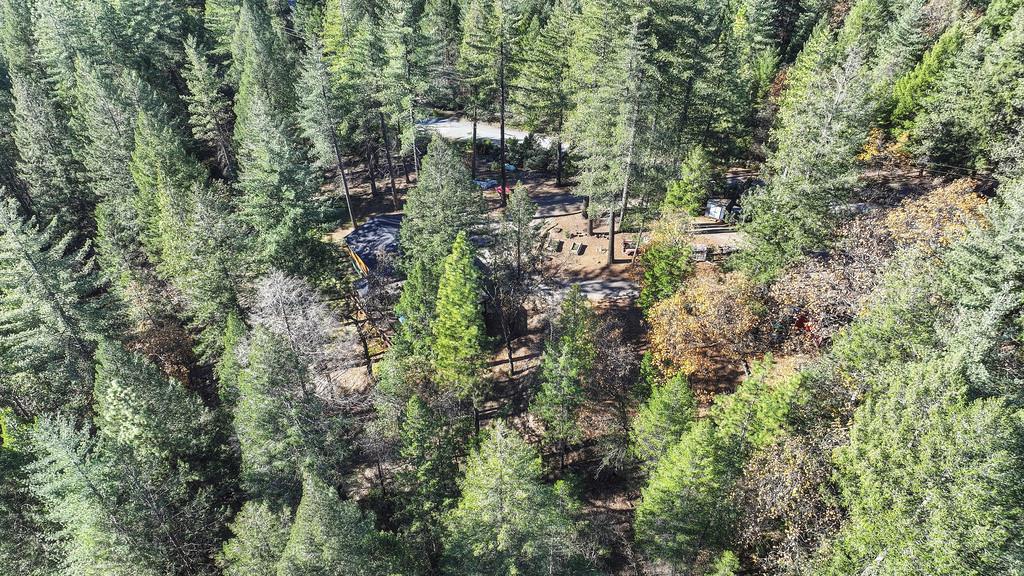 5060 Chestnut Court Georgetown, CA 95634 - Photo 62 of 65 an aerial view of residential house with outdoor space and trees all around