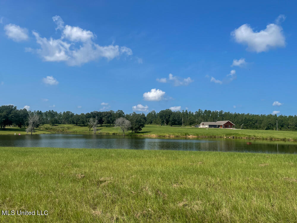 Lot 11 Conner Stringer Drive Lucedale, MS 39452 - Photo 53 of 54 IMG_2325