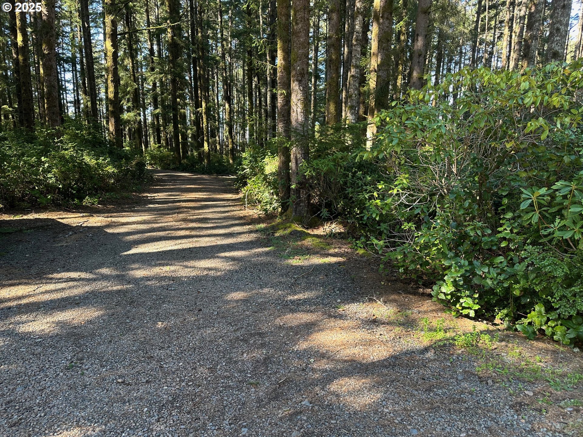 a view of backyard with green space