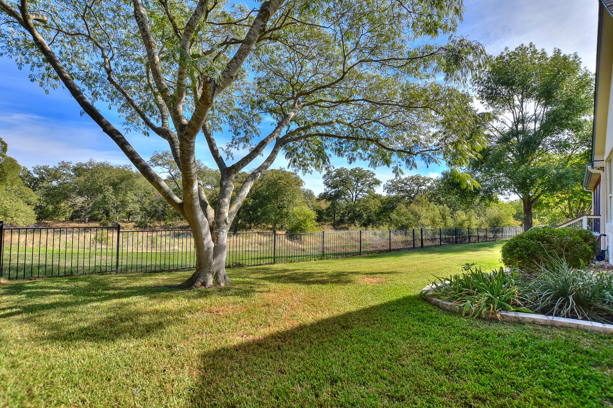 146 Trail Rider Way Georgetown, TX 78633 - Photo 1 of 1 a view of a yard with a fountain and large trees