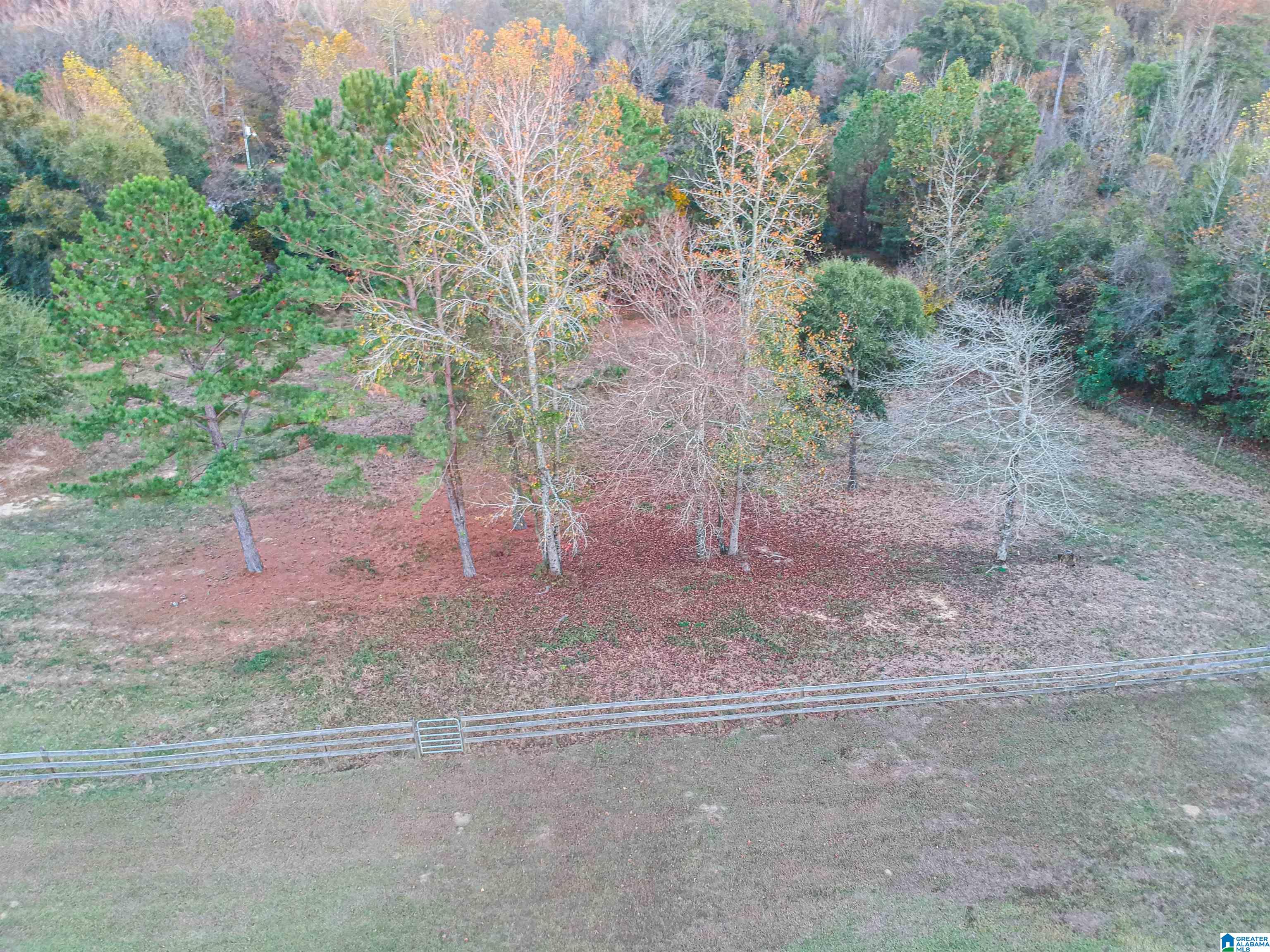 10908 Myers Road Moundville, AL 35474 - Photo 5 of 50