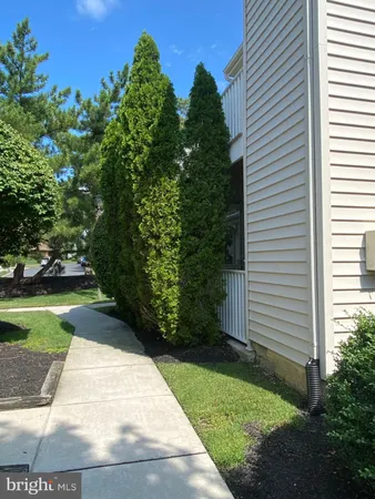 a view of a back yard