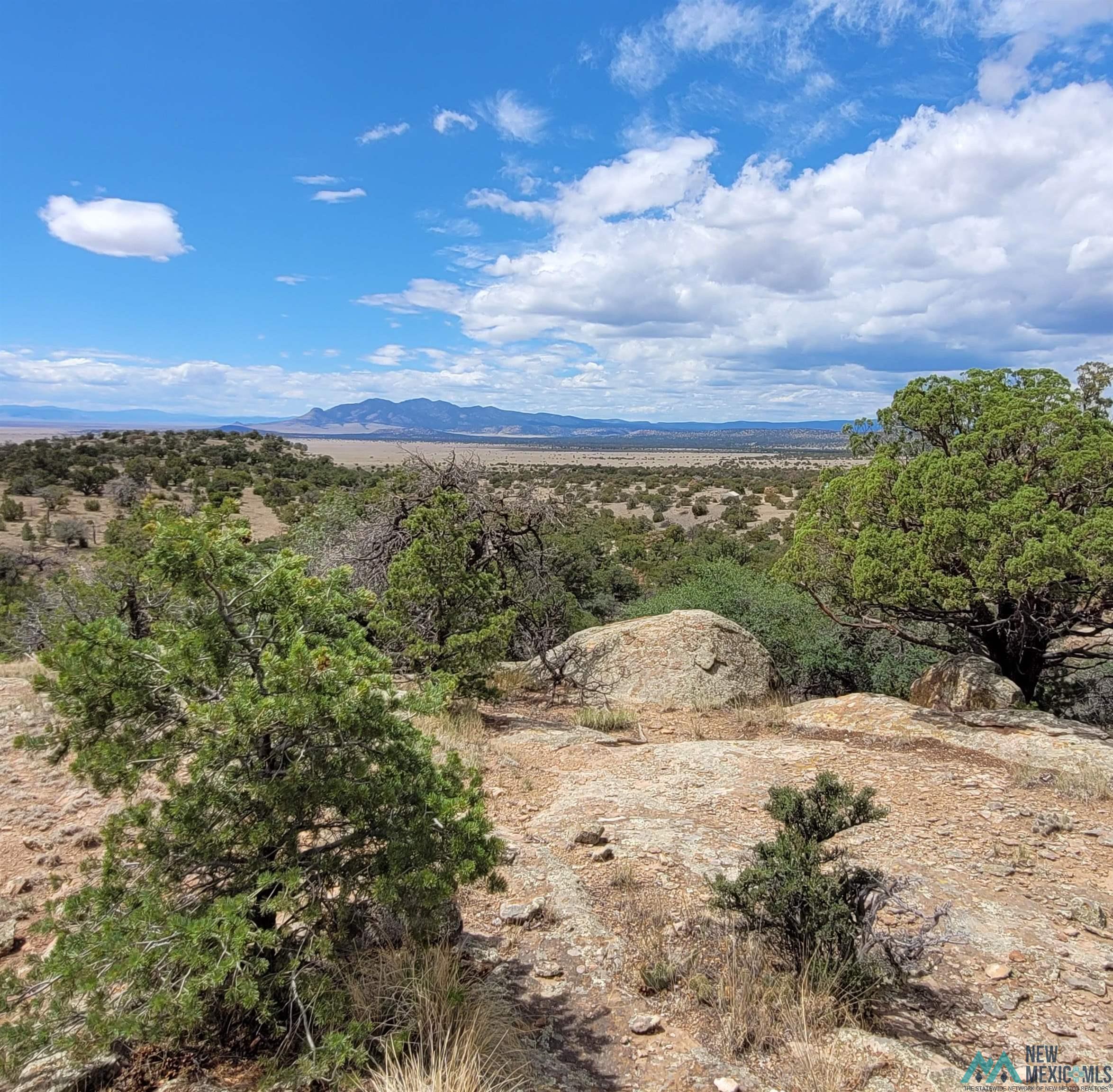 Xx Lookout Loop Datil, NM 87821 - Photo 10 of 38 Gallery Image 10