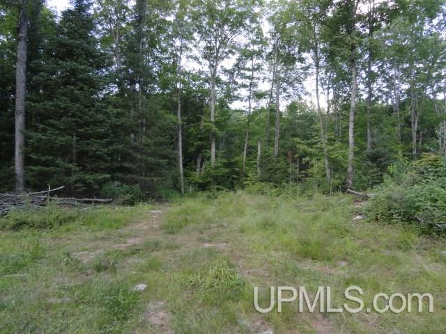 Tbd Norway Lake Road Sidnaw, MI 49961 - Photo 16 of 17