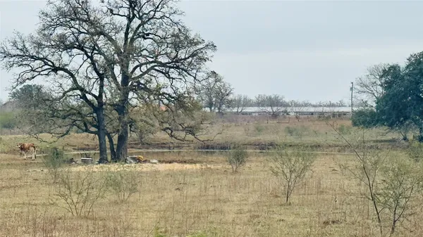a view of river covered with trees