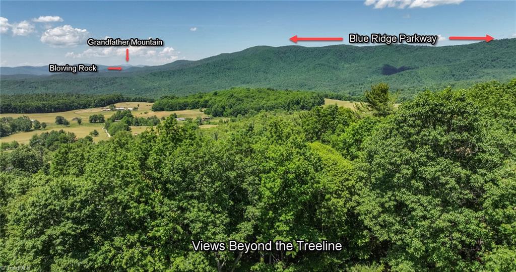 615 Phillips Gap Road Purlear, NC 28665 - Photo 5 of 50