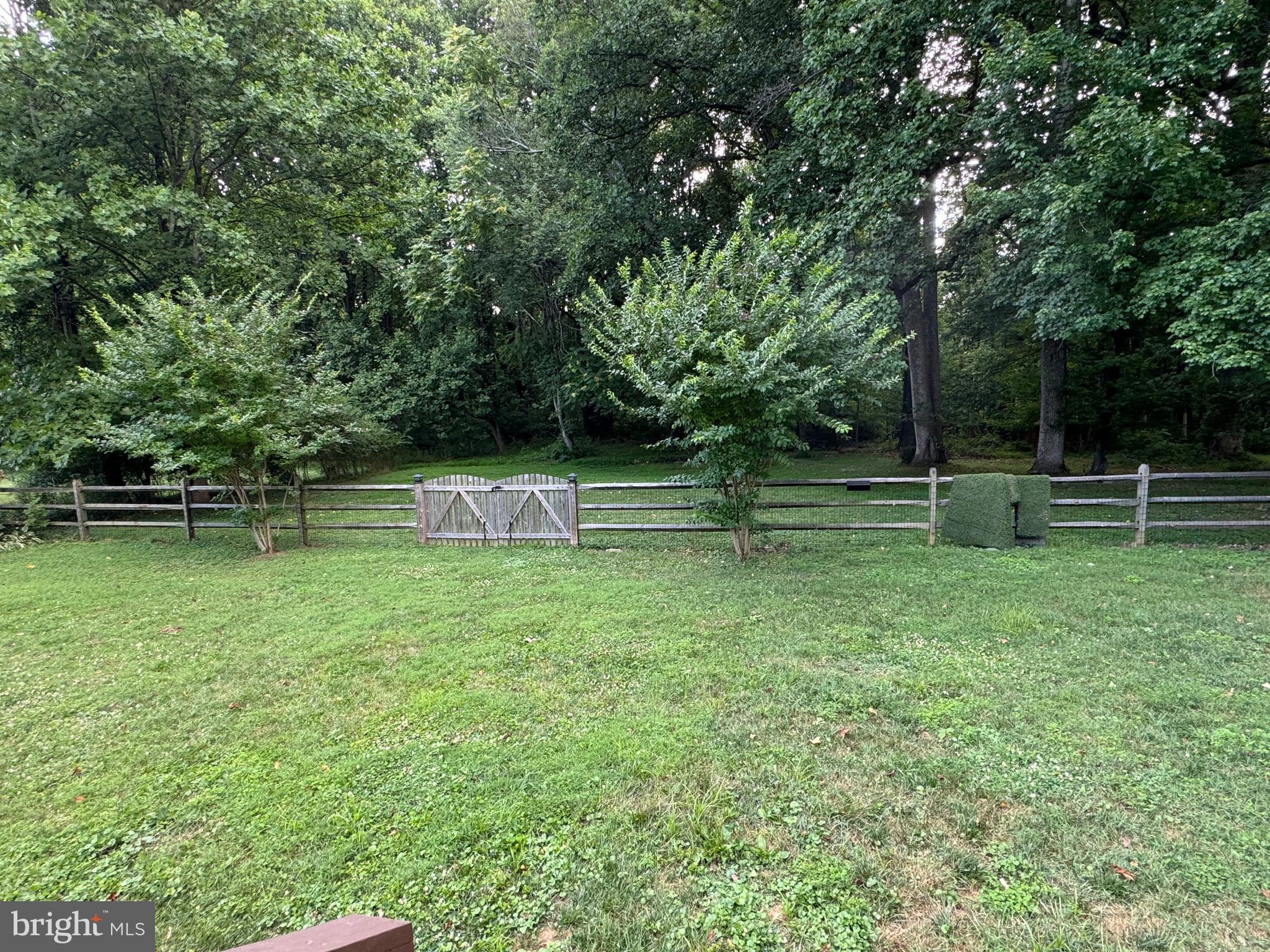 7352 Damascus Road Gaithersburg, MD 20882 - Photo 24 of 29 View from back deck