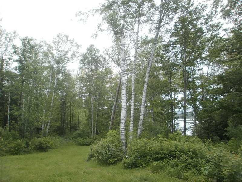 1150 Long Pond Road Jackman, ME 04945 - Photo 5 of 6 Land.