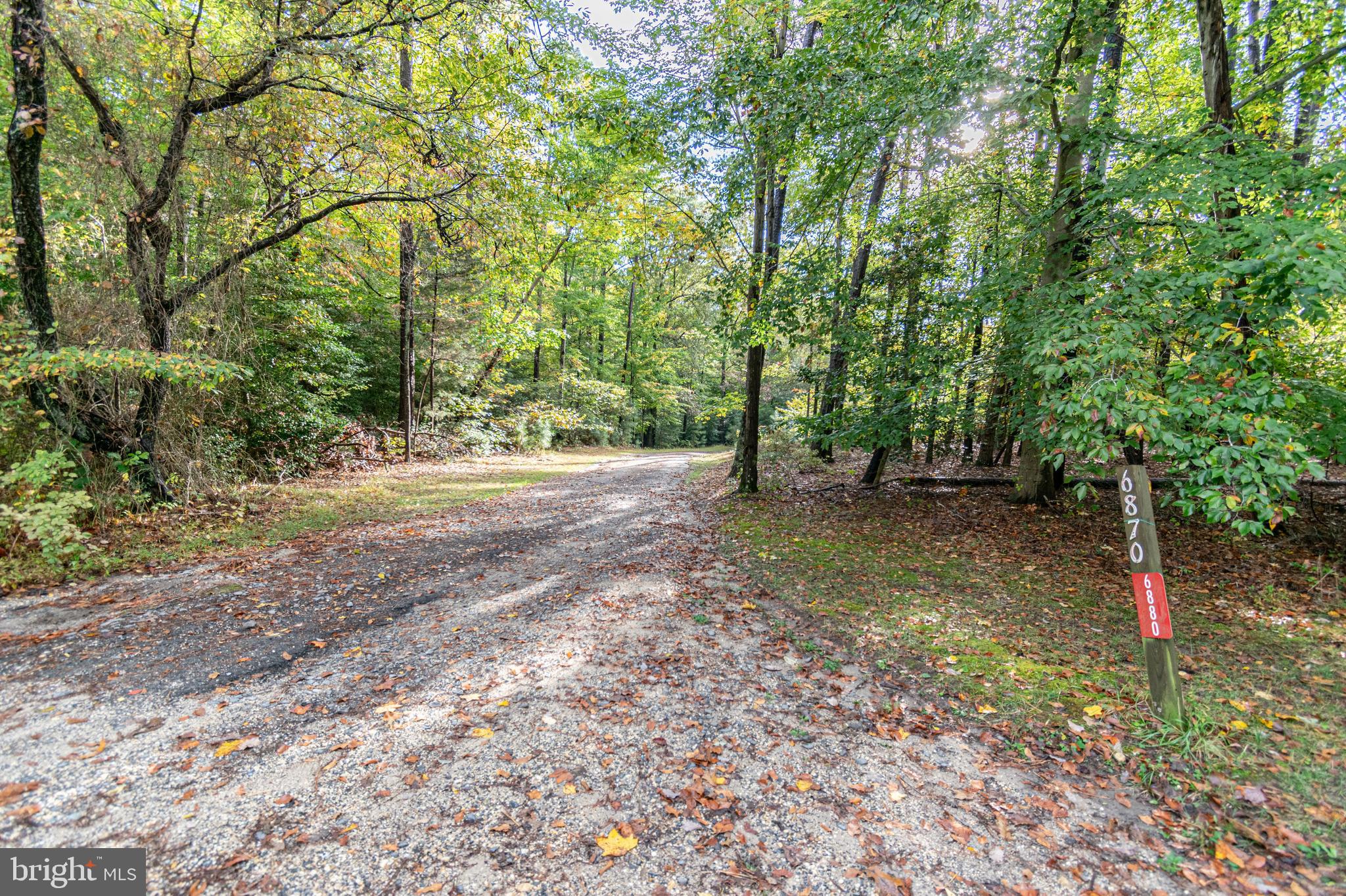 6860 Marshall Road St. Leonard, MD 20685 - Photo 2 of 13