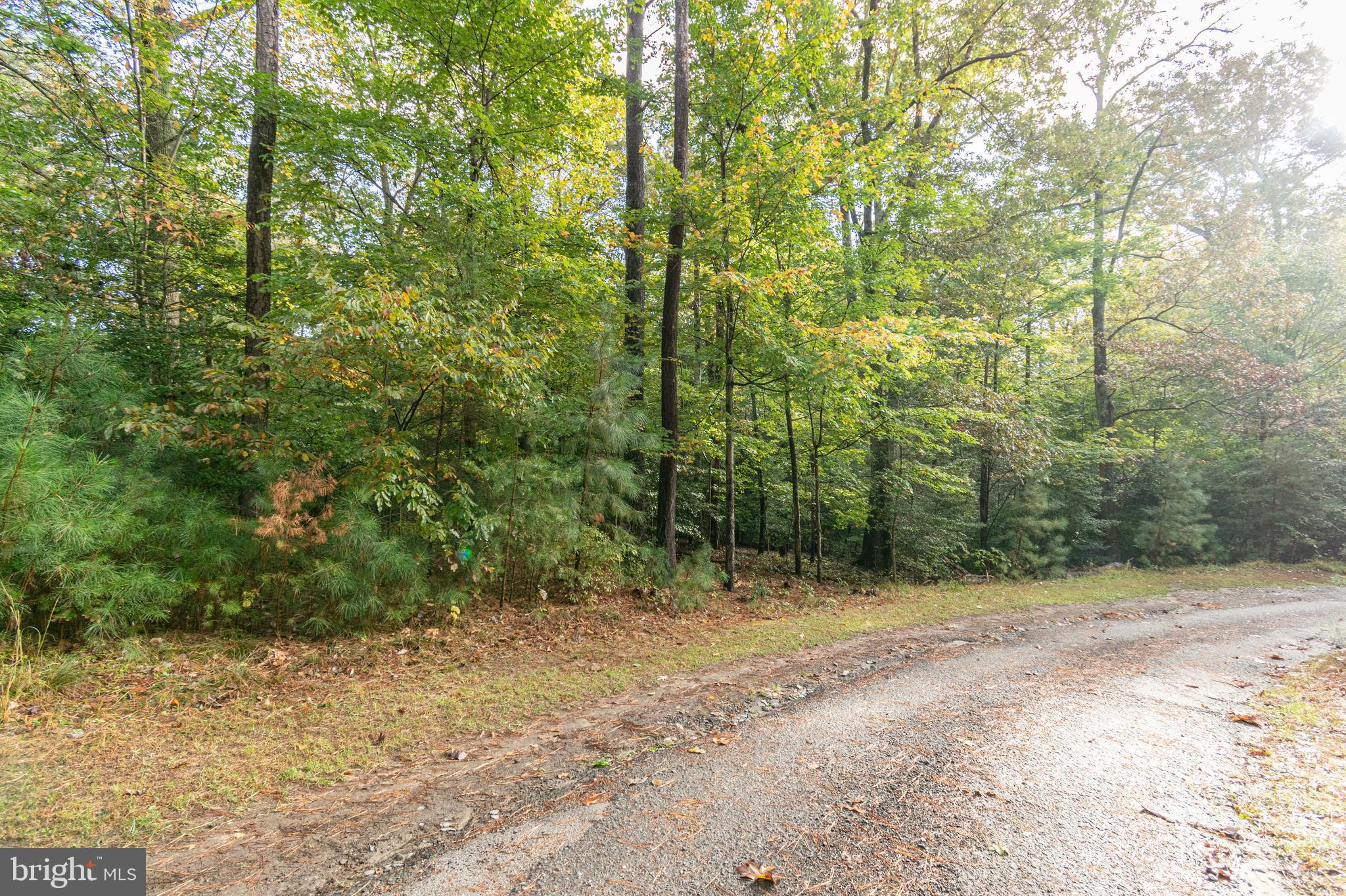 6860 Marshall Road St. Leonard, MD 20685 - Photo 11 of 13