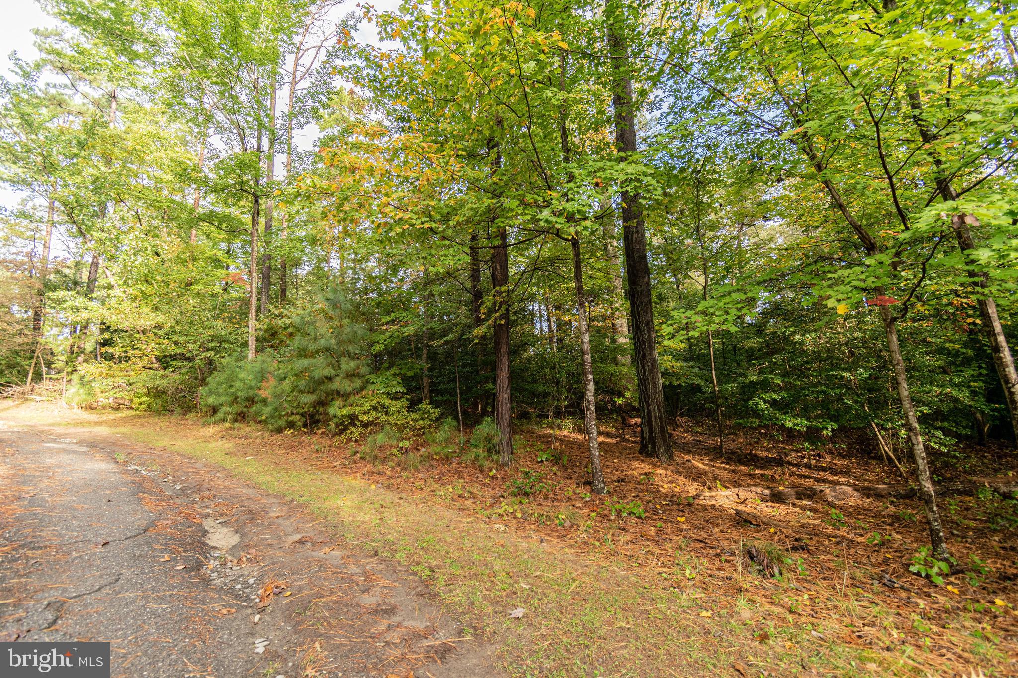 6860 Marshall Road St. Leonard, MD 20685 - Photo 12 of 13