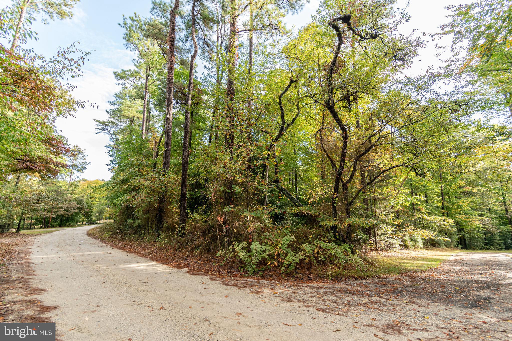 6860 Marshall Road St. Leonard, MD 20685 - Photo 4 of 13