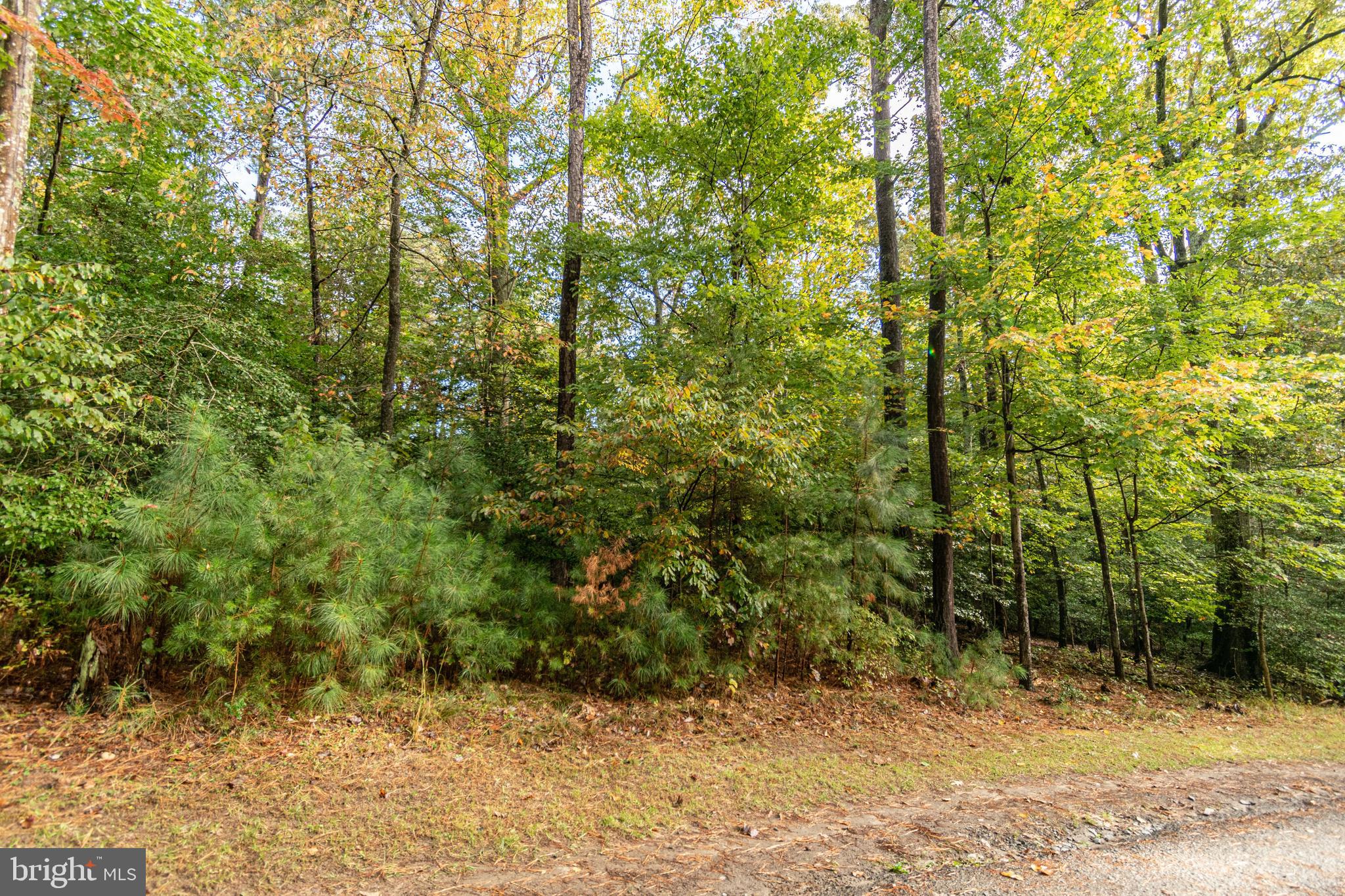 6860 Marshall Road St. Leonard, MD 20685 - Photo 5 of 13