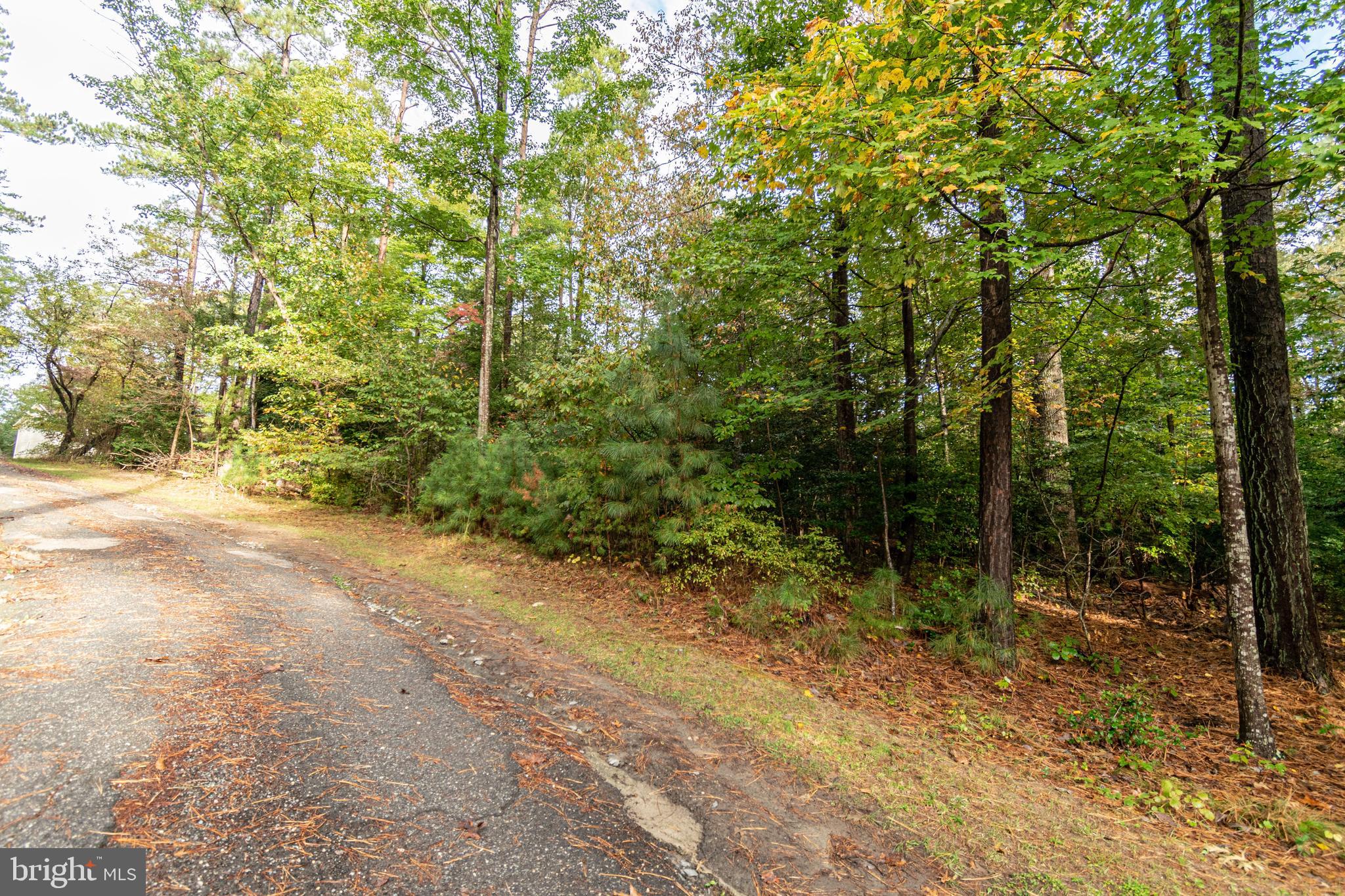 6860 Marshall Road St. Leonard, MD 20685 - Photo 6 of 13