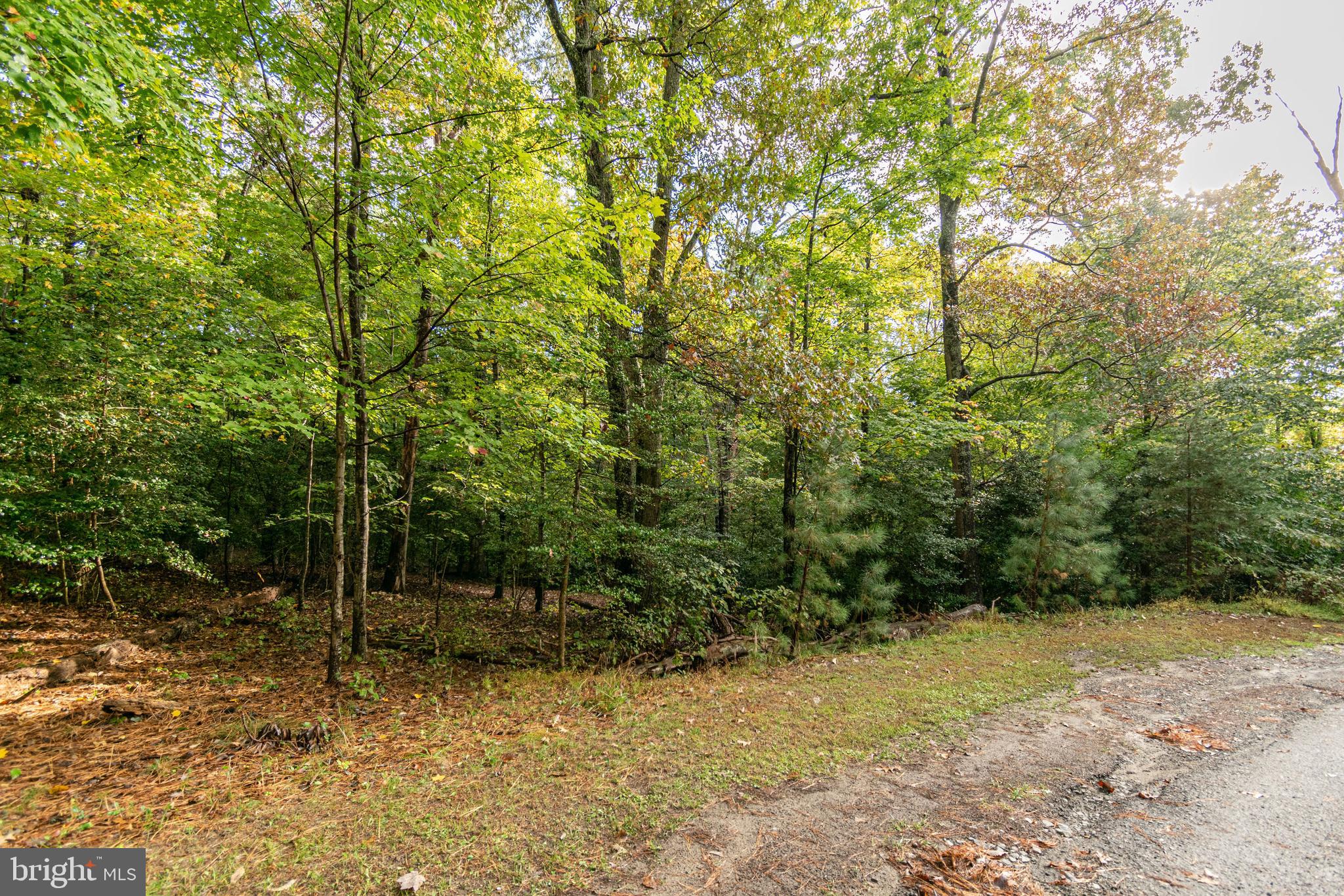 6860 Marshall Road St. Leonard, MD 20685 - Photo 7 of 13