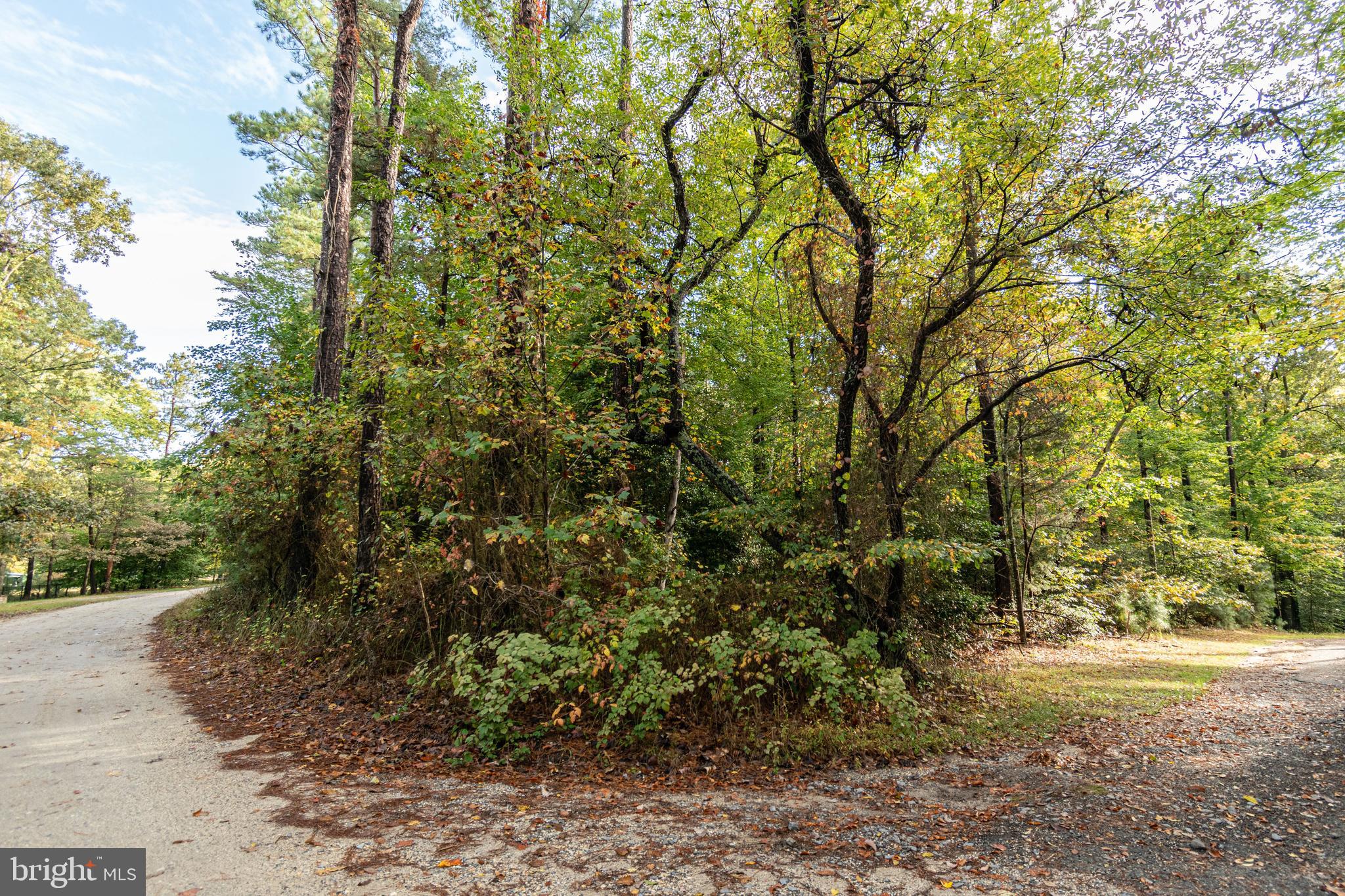 6860 Marshall Road St. Leonard, MD 20685 - Photo 8 of 13